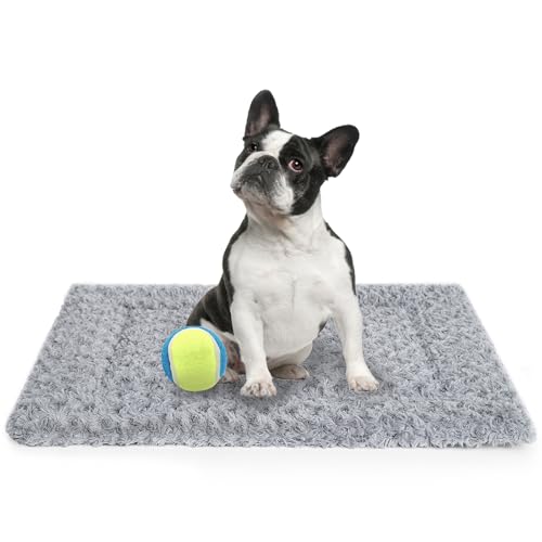 Dog Crate Mats The 15 best products compared Wild Explained