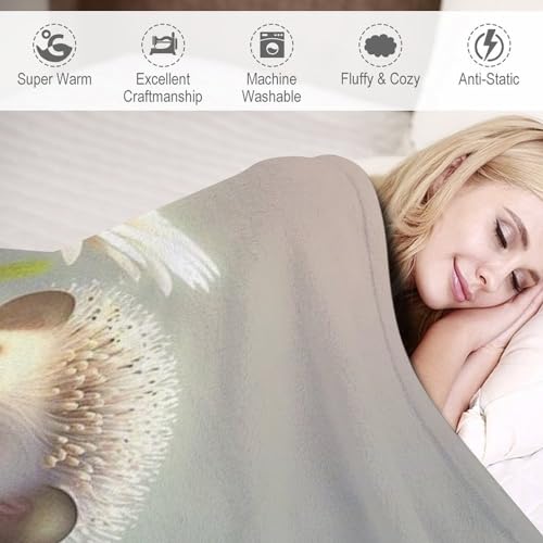 Couverture flanelle hérisson un cocon de tendresse et de douceur absolue pour votre lit