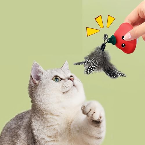 Uoqpty C^NeBu L  - LkzՈS - LphgC - ^^^qLp  x_  Ő 