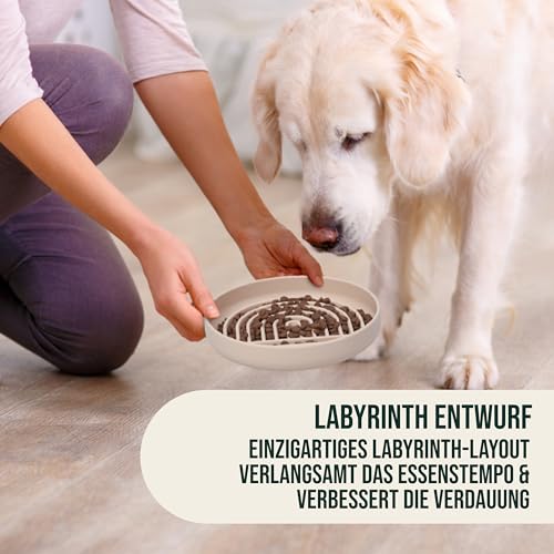 Happilax Antischlingnapf für Hunde – Silikon-Futternapf für langsames Fressen – Fördert Verdauung & mentale Stimulation – Sicher & leicht zu reinigen – 25x4x18 cm, Beige