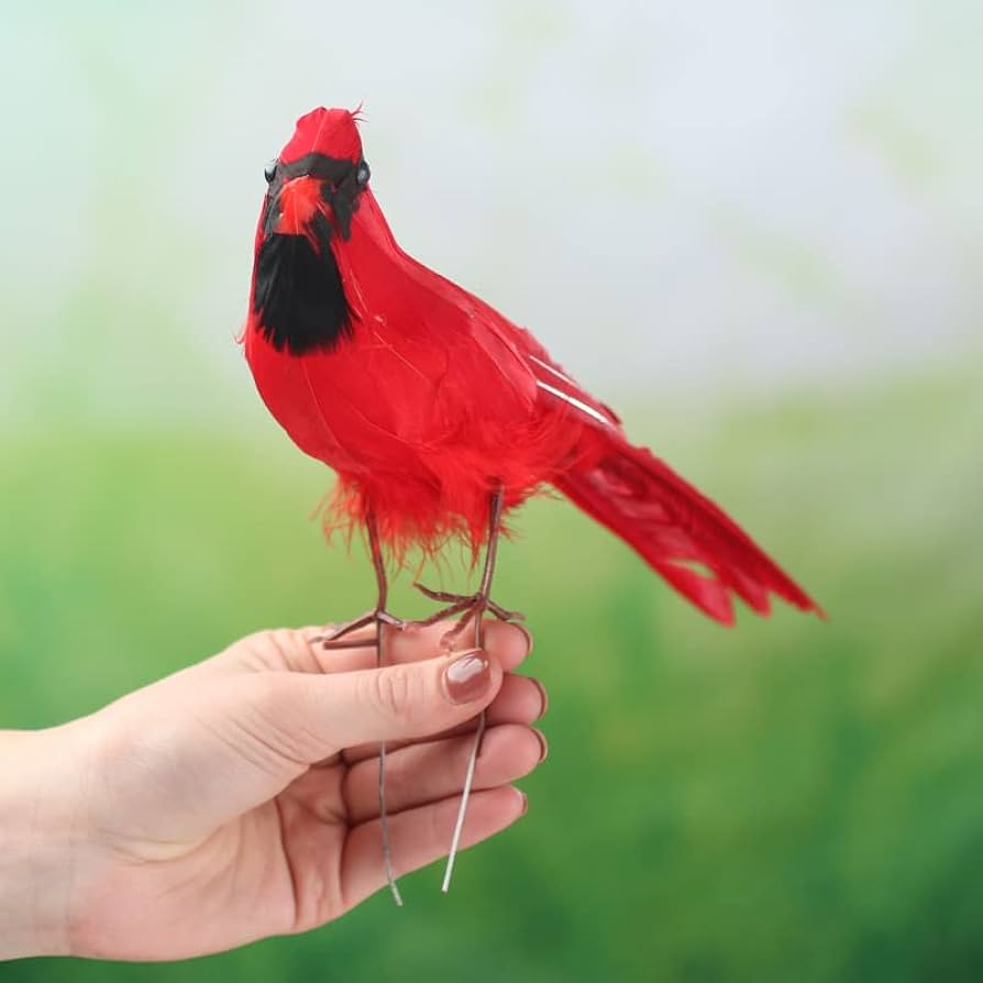 Amazon.com: Factory Direct Craft Rich Red Standing