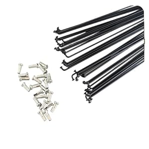 36Pcs High Strength Mountain/Road Bike 14G Spokes Black Colour Bicycle Steel Spokes 170Mm-300Mm 11 41cdbwvhdpl. sl500 . ss300