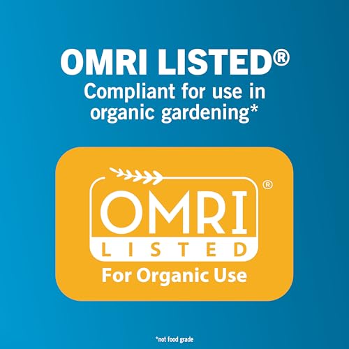 Safer Home Diatomaceous Earth 4 lb Organic OMRI DE - Cockroach Killer Indoor Home, Bed Bug Killer, Kills Fleas, Ants, Silverfish, Earwigs & Crawling Insects - Thumbnail 6
