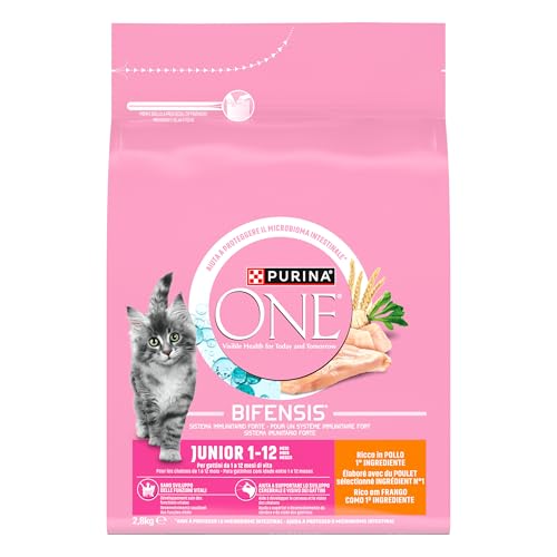 PURINA ONE | BIFENSIS Junior | Chaton jusqu'à 12 Mois et Chattes en Gestation | Croquettes | Aide au développement sain des Fonctions vitales du Chat | Au Poulet | Sac | 2,8 Kg