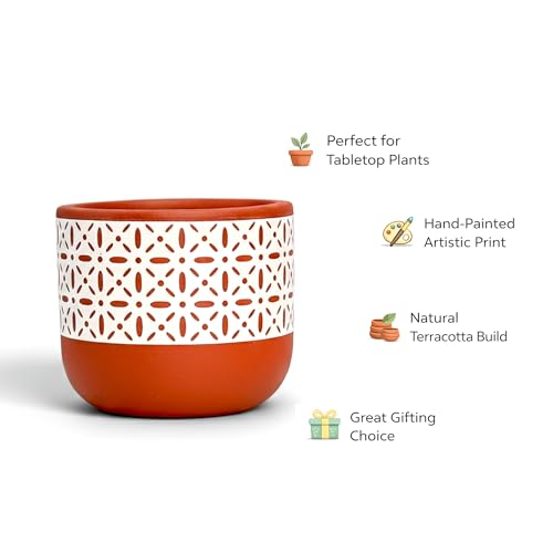 Image of Urban Plant Botanika Virasat Terracotta Pot with Drainage Hole (5 Inch) | Hand-Painted Decorative Clay Planter | Breathable Indoor Plant Pot for Healthy Growth | Tabletop Home Decor & Gifting