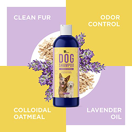 Cleansing Dog Shampoo for Smelly Dogs - Refreshing Colloidal Oatmeal Dog Shampoo for Dry Skin and Cleansing Dog Bath Soap - Moisturizing Lavender and Oatmeal Shampoo for Dogs and Great Smelling Pups - Thumbnail 7