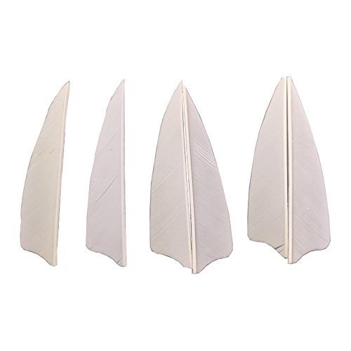 Milaem 50 Pcs Turkey Feather Fletching 3 Inch Right Wing Arrow Feathers Vanes(White) #TOP1