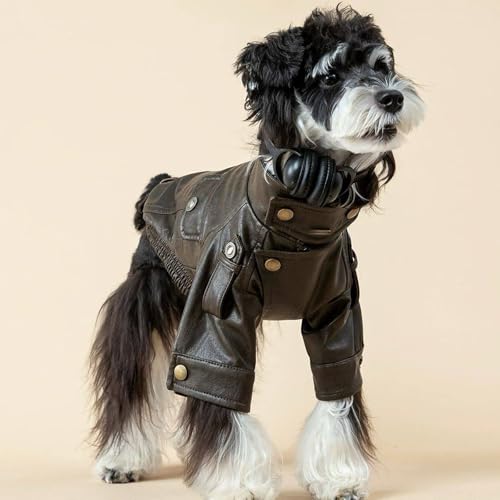 Ropa de invierno para cachorros y perros pequeños abrigo resistente al viento elegante 3
