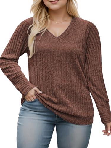 Image of VISLILY Womens-Plus-Size-Dressy-Tops Casual V Neck Long Sleeve Knit Sweater