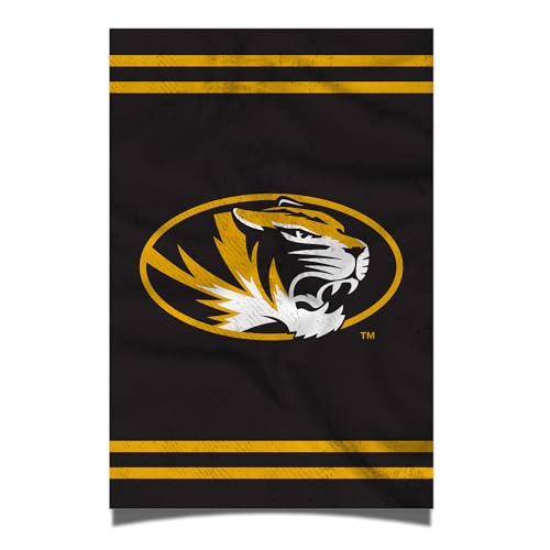 Desert Cactus University of Missouri Poster Mizzou Tigers 24 x 36 Inch Room Office Décor Decoration Official Fan Gear (24x36 inch, Version 3)