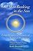 Old Man Basking in the Sun: Longchenpa's Treasury of Natural Perfection