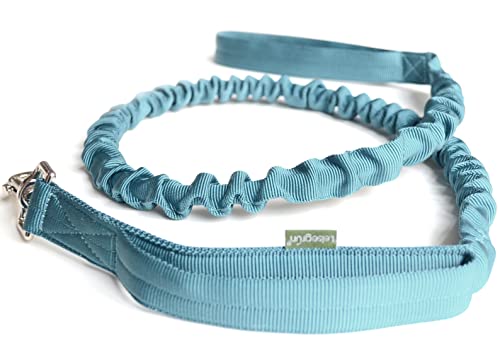 Leisegruen-Nylon-Dog-Lead-Elastic-Lead-for-Dogs-with-Short-Lead-and-Shock-Absorber-Length-130-cm-to-200-cm-Petrol-Blue