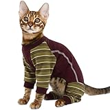 Body pour Chat, Confortable Manteau À Manches Longues Boby Recuperation Chat Anti-Lécher Vêtement-Chat Couvrez Les Points de Suture après L'opération(Rouge, M)