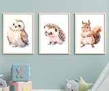 Din A4 Kunstdruck 3er Set ohne Rahmen - Süße Waldtiere - 