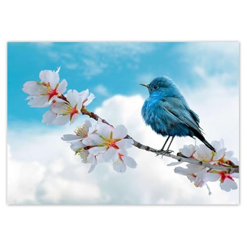 Papier peint intissé oiseau pour transformer un mur blanc - 2