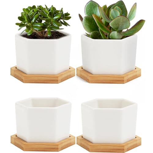 4pcs Succulent Pots,with Bamboo Tray,Hexagon Plants Containers,Mini Office Flower Planter,Simple White Porcelain Potted Plant,for Home,Office,Classroom