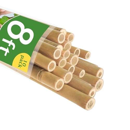 Bamboo Stakes 8FT, 8 Feet Natural Bamboo Plants Stakes, 1" D Thicker Heavy Duty Garden Stakes 10 Pack for Tomatoes, Beans, Flowers, Potted and More Climbing Plants