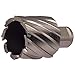 Annular Cutter, High Speed Steel, Bright (Uncoated), 2 in