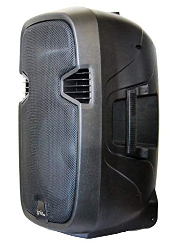 Ignite Pro 12" Pro Series Speaker Dj / Pa System Rechargeable Battery / Bluetooth Connectivity 1500W Peak Power #TOP2