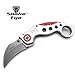 Snake Eye Tactical Heavy Duty Folding Pocket Knife Outdoors Hunting Camping Fishing (Silver)