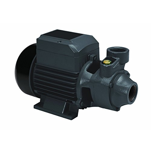 Pacific Hydrostar 62508 3/4 HP Clear Water Pump 650 GPH, 98' Lift, Cast Iron Body with Brass Impeller