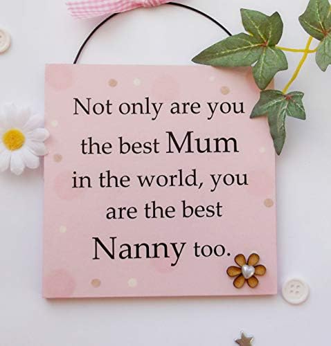 Not only are you the best Mum in the world you are the best Nanny too wooden gift plaque