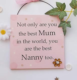 Not only are you the best Mum in the world you are the best Nanny too wooden gift plaque
