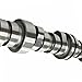 BuliBoao Engine Camshaft NON-DOD/AFM Fits for GM Chevy Silverado GMC Sierra Yukon 4.8L 5.3L Truck 2007-2017 12593205, 12625437