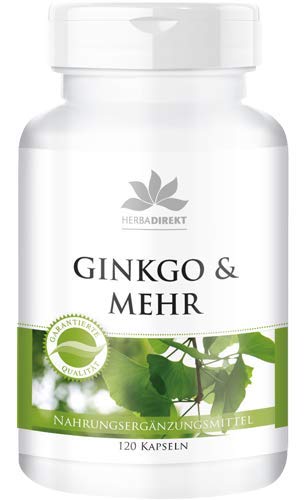 Ginkgo Complex - ginkgo biloba-extract plus bacopa monnieri-extract, foliumzuur, neuro-PS & taurine - veganistisch - 120 capsules