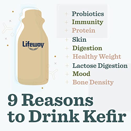 Lifeway Low Fat Kefir - 11G Protein, 12 Live Active Probiotic Cultures, 99% Lactose Free, Gluten Free – Blueberry, 32 Oz #TOP1
