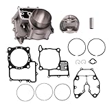Compatibile con i modelli Rincon 680 Trx680FA dal 2006 al 2022