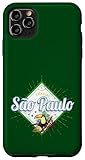 San Paolo Souvenir vintage retrò tucano Brasile