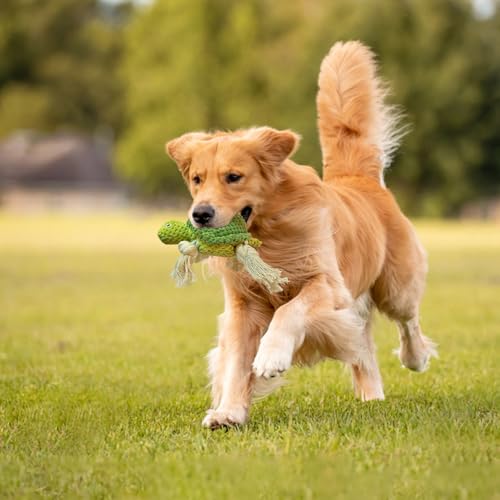 TONYFY Niedliche Meerestieren Hundespielzeuge mit Quietscher, Interaktive Plüschspielzeuge aus Baumwolle mit Knoten und Knisterpapier – für Welpen, kleine und mittelgroße Hunde(Grüne Schildkröte)