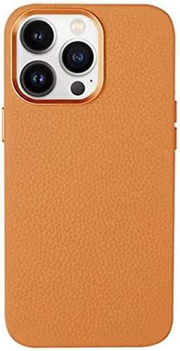 Étui pour Apple iPhone 13 Pro coque cuir marron antichoc