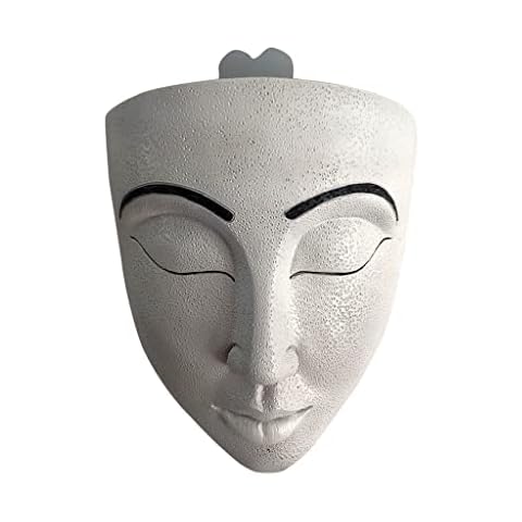 Byqny Creative Face Flower Pot Wall Mounted Planter Resin Flower Pot Garden Decorate Sculpture Vase for Wall Decor Indoor Outdoor Plants, Plain makeup 16.5 × 8.5 × 19 cm Cover