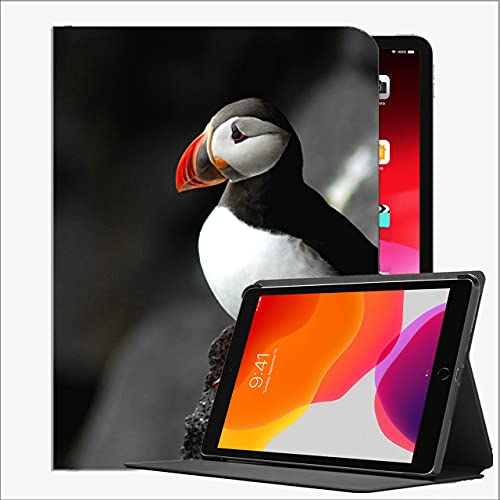 Caso para el Nuevo iPad 10.2 2020/2019 - Cubierta de la Caja de generación del 8vo / séptimo del iPad, el pájaro del pájaro del Atlántico Frailfin