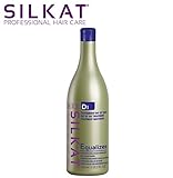 BRAND: Bes BES, Silkat Phc Day By Day Equalizer Shampoo D1 1000ml