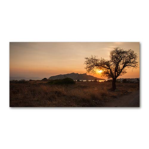 Dosseret en verre cuisine 100x50 fond de hotte splashback guard paysage brun