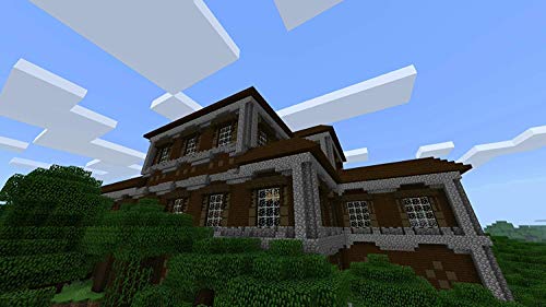 2520749 Commutateur De Minecraft - vue 7