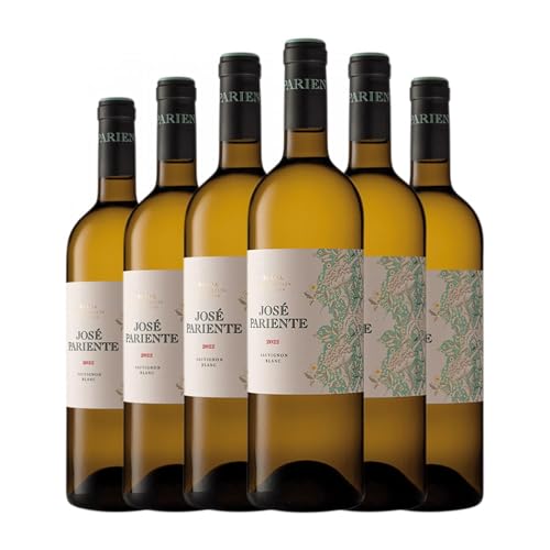José Pariente Sauvignon Blanca Rueda 75 cl Vino blanco (Caja de 6 Botellas de 75 cl)