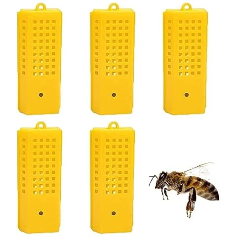 Cage de Marquage Reine BNOYONERAS Cover