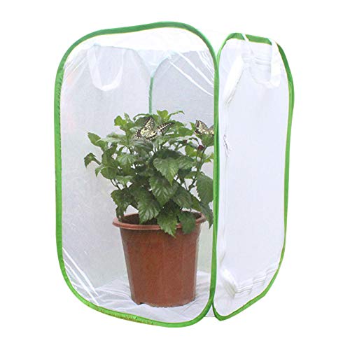 Beverl Foldable Insect Butterfly Habitat Cage Seedling Plant Light Transmission Net Tent Greenhouse
