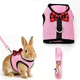 JOVYTH Imbracatura Coniglio Fiocco Rosa con Guinzaglio, Imbracatura Coniglio Morbida con Guinzaglio, Imbracatura Coniglio con Guinzaglio per Piccoli Animali Accessorio