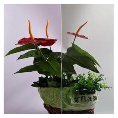 �X�e���h�O���X �S�� �}���`�J���[�t�B���� �f�M ���Ă��~�� �Z���n�� ���� �����t�B���� 10x100cm(7)