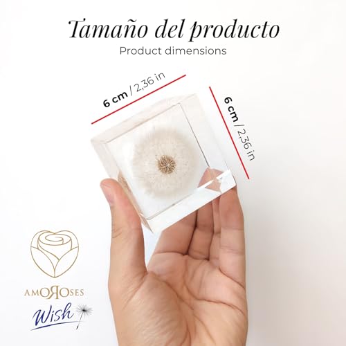 Diente de león auténtico Amoroses WISH idea regalo original elegante 6