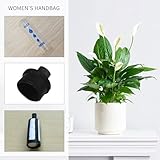 DUINIU B0FS2ZMZHM lato 3