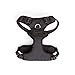 EveryYay by Petco Full Dog Harness Black X-Large/XX-Large