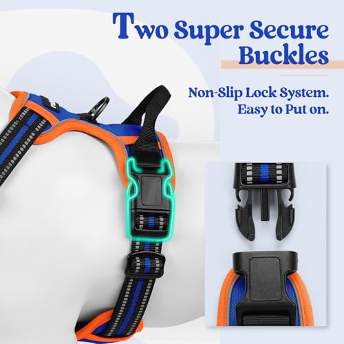 Image of rabbitgoo Dog Harness No Pull with 2 Leash Clips, Adjustable Soft Padded, Reflective Oxford No Choke Pet Vest with Easy Control Handle for Medium Sized Dogs, Blue & Orange, M