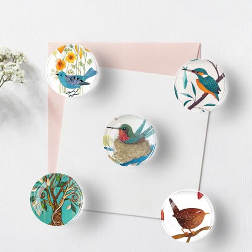 Set de 12 imanes decorativos redondos para nevera miniatura 3