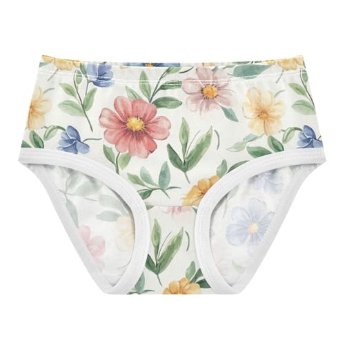 ZZKKO Watercolor Flowers Girls Underwear Toddler Panties for Girls Comfort Brief Size 2T-8Y